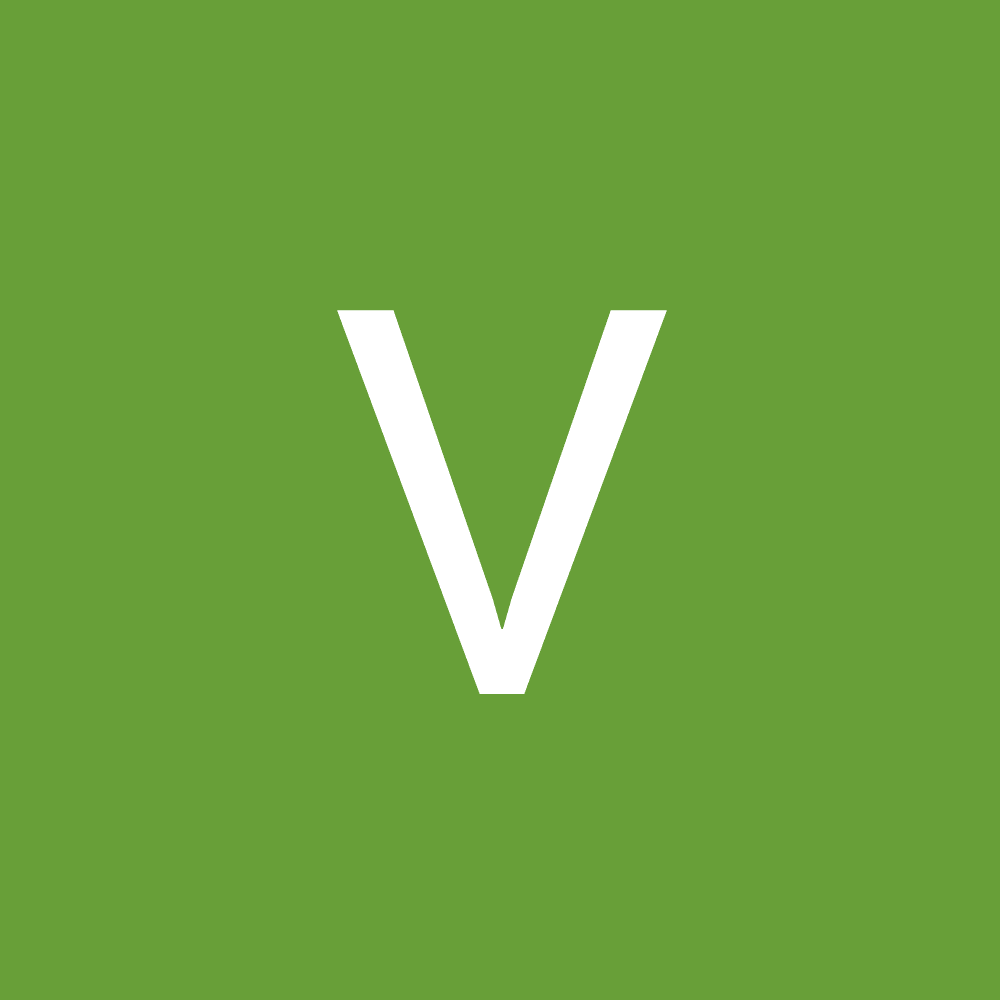 VINEET JEEVAN SALVE 24BCY10078